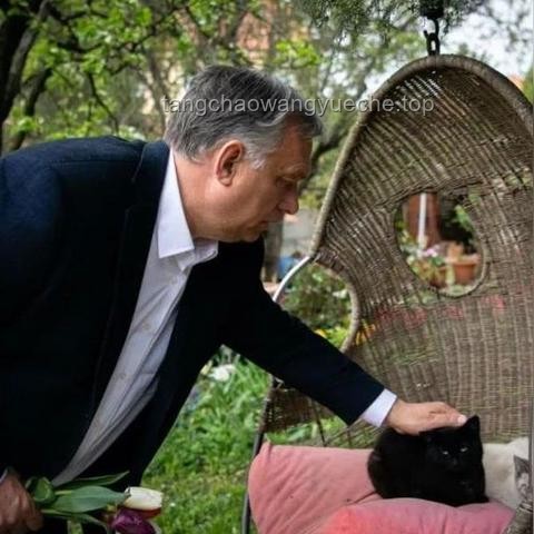 全球秩序重构期，人才为何成为关键驱动力及应对策略
